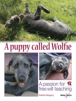 cover image of A Puppy Called Wolfie
